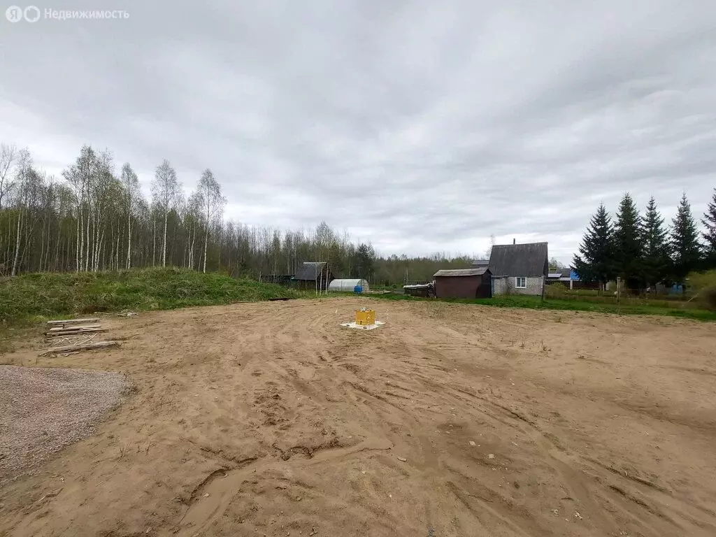 Участок в Псковский район, Торошинская волость, СНТ Милевка, Северная ... - Фото 1