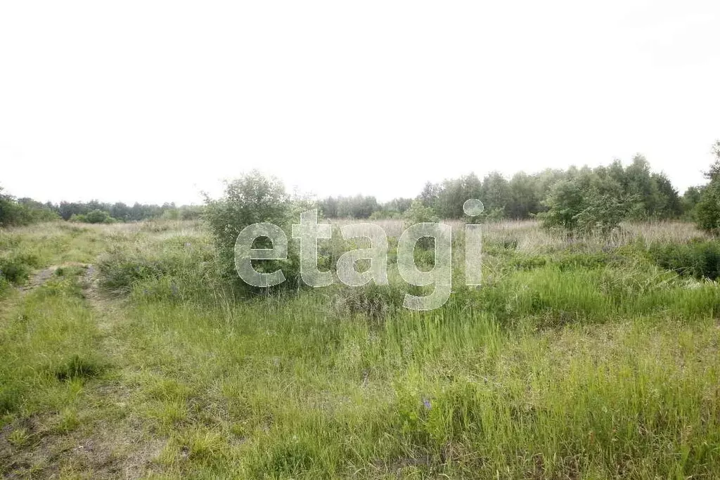 Участок в Заводоуковск, садовое общество Озерки (15 м) - Фото 2