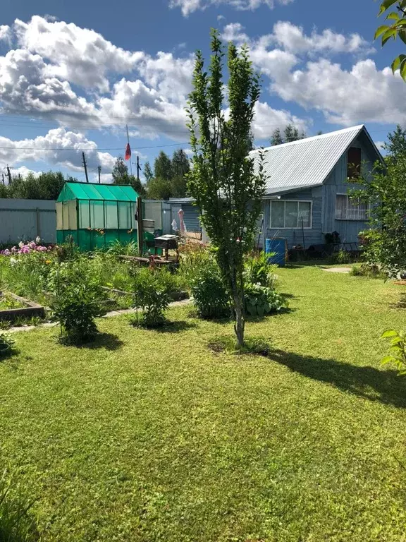 Дом в Московская область, Рузский муниципальный округ, Рассвет СНТ 77 ... - Фото 1