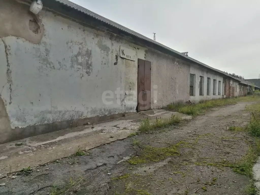 Склад в Брянская область, Клинцовский район, пос. Первое Мая ул. ... - Фото 2