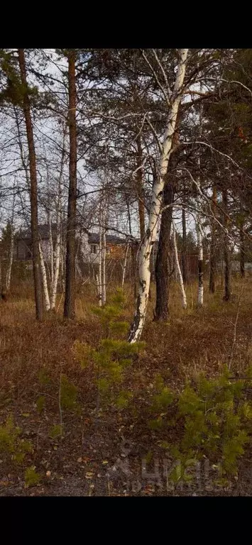 Участок в Саха (Якутия), Якутск ул. Сайдыы (10.0 сот.) - Фото 1