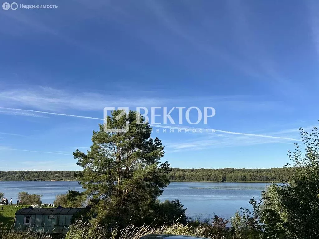 Дом в Приволжский район, Плёсское городское поселение, село Пеньки, 45 ... - Фото 1