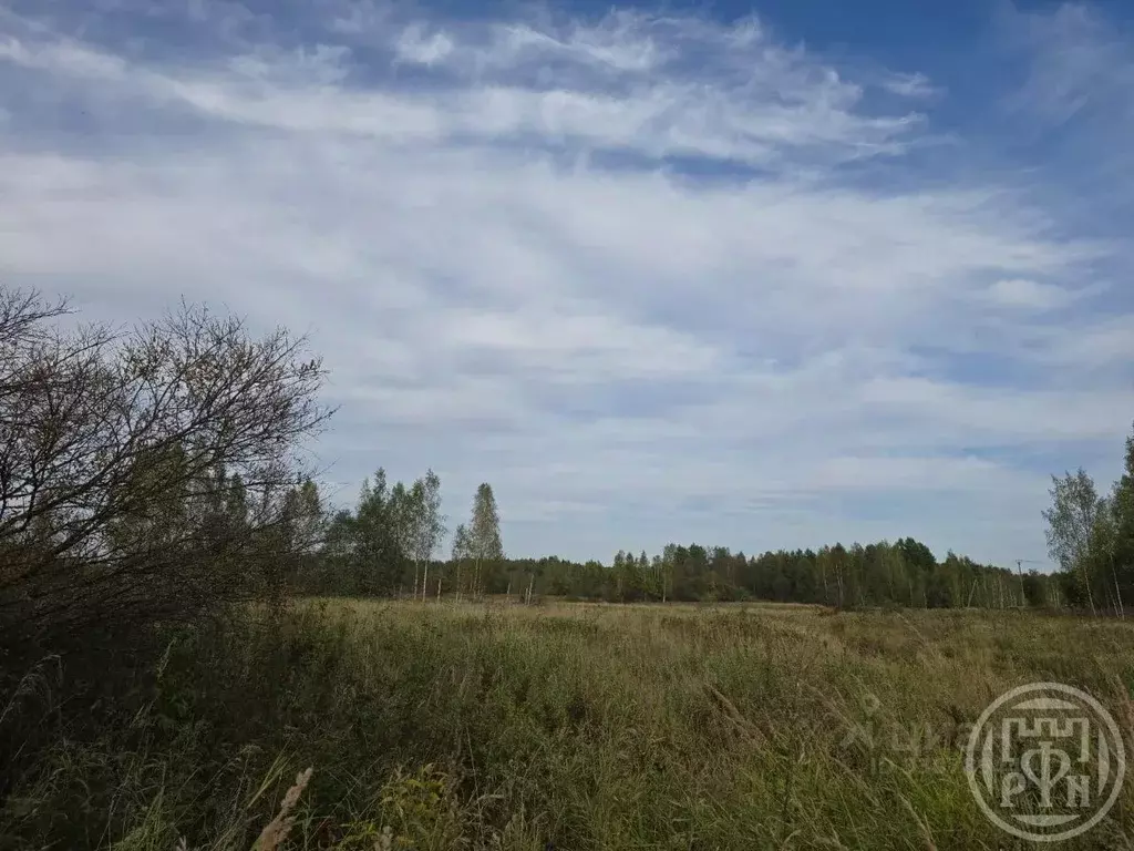 Участок в Ленинградская область, Приозерский район, Ромашкинское ... - Фото 0