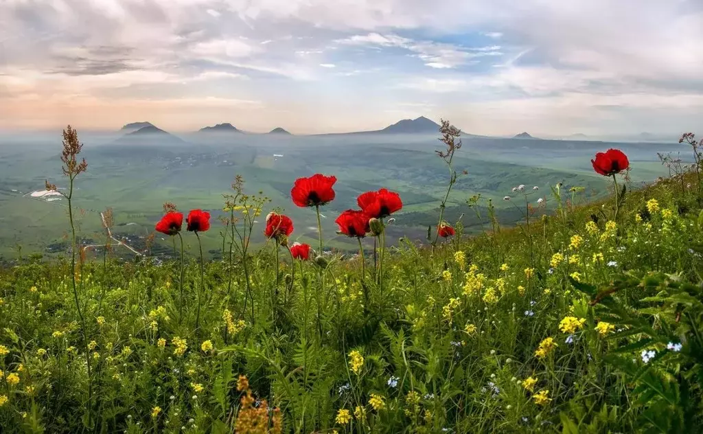 Участок в Ставропольский край, Ипатовский муниципальный округ, Малый ... - Фото 2