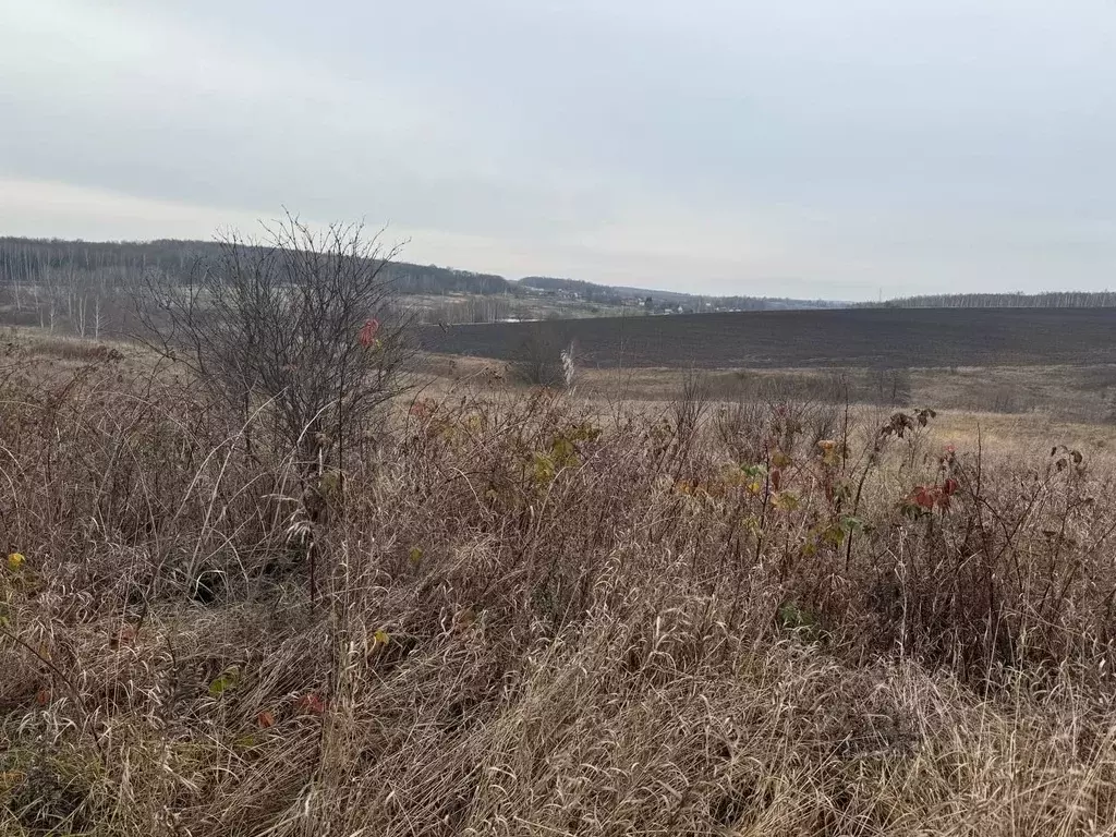 Участок в Московская область, Кашира городской округ, д. Клубня  (14.5 ... - Фото 0