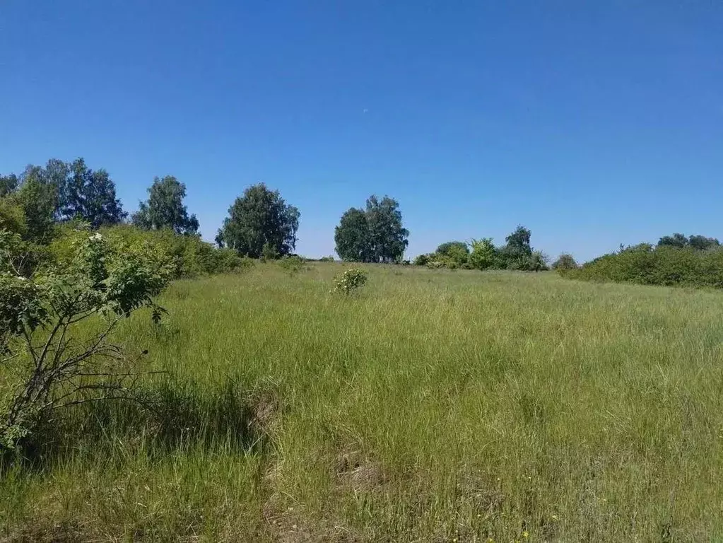 Участок в Белгородская область, Корочанский муниципальный округ, с. ... - Фото 1