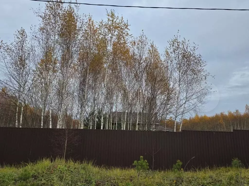 Участок 13,5 сот. (ИЖС) - Фото 0