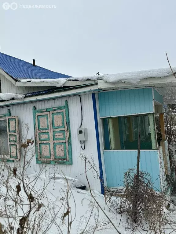 Участок в Омск, территория СОСН Колос-2, 5-я аллея (5 м) - Фото 1