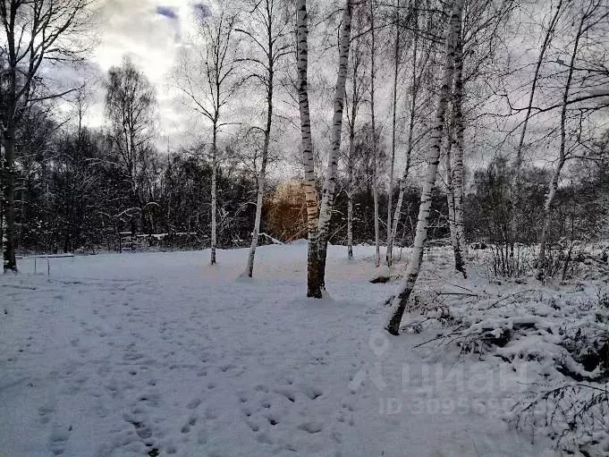 Участок в Московская область, Чехов городской округ, д. Хлевино 17 ... - Фото 1