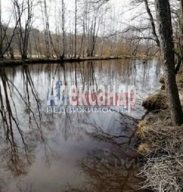 Участок в Ленинградская область, Выборгский район, Советское городское ... - Фото 1