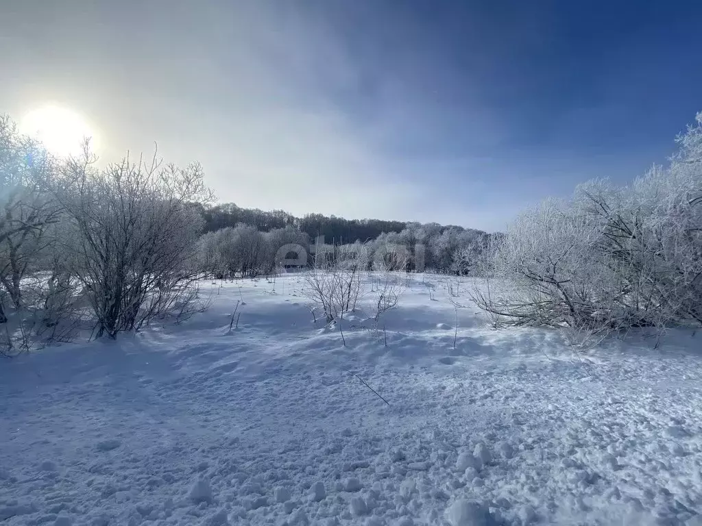 Участок в Камчатский край, Елизовский муниципальный округ, пос. ... - Фото 1