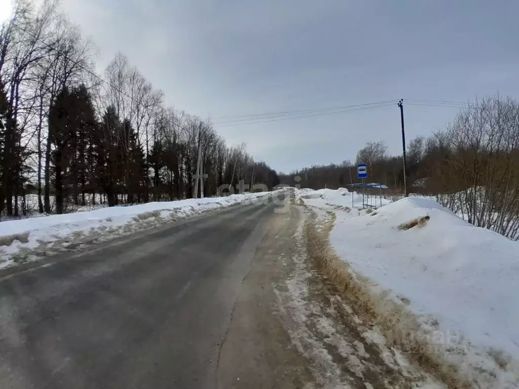 Торговая площадь в Калужская область, Калуга городской округ, д. ... - Фото 2