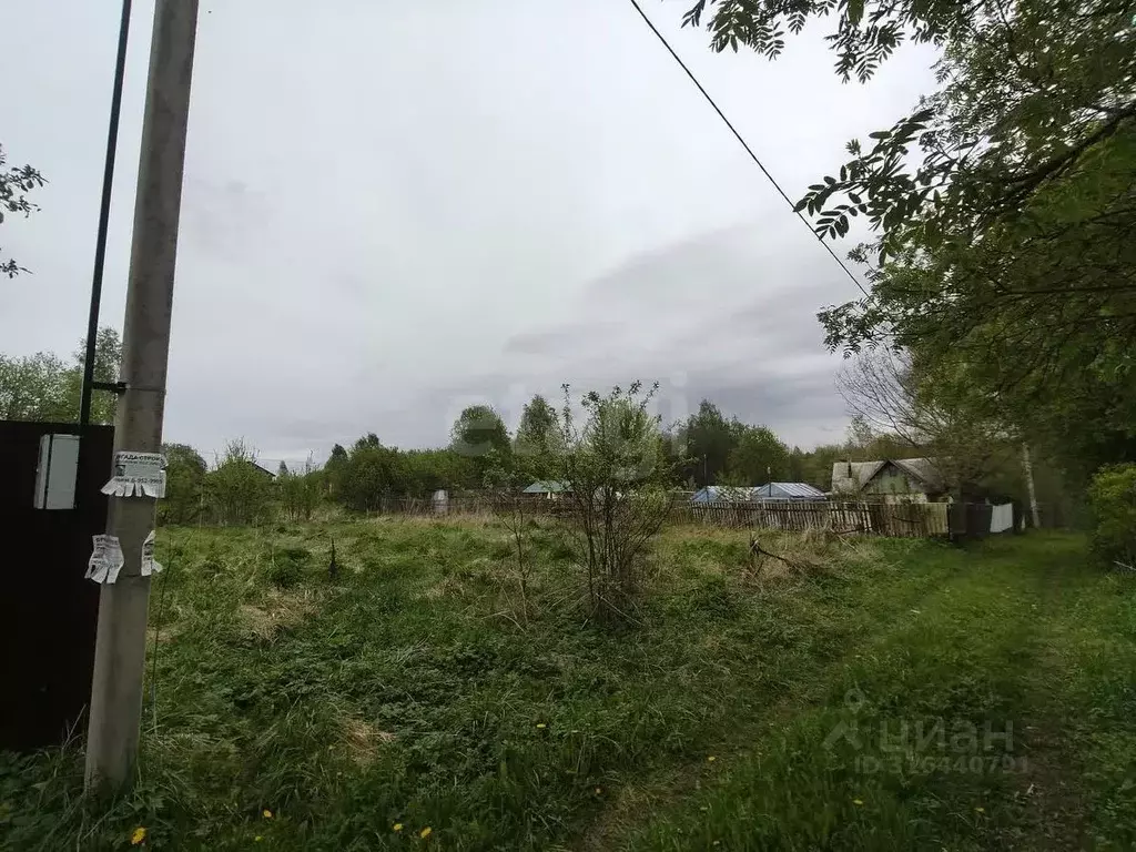 Участок в Смоленская область, Смоленский муниципальный округ, Кольцо ... - Фото 1