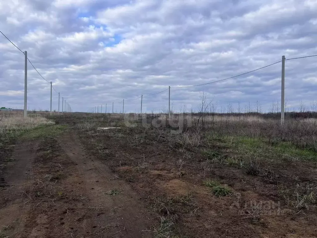 Участок в Белгородская область, Белгородский район, Дубовское с/пос, ... - Фото 1