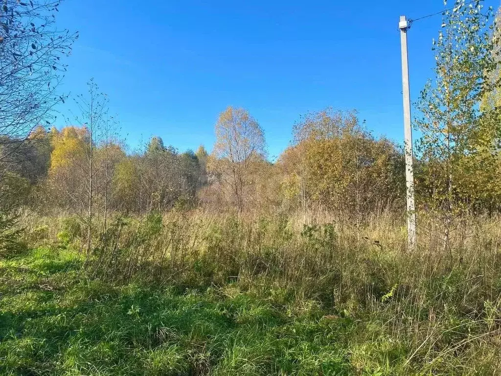 Участок в Кировская область, Кирово-Чепецкий район, Федяковское с/пос, ... - Фото 1