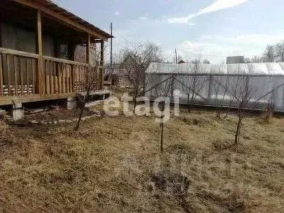 Участок в Красноярский край, Емельяновский муниципальный округ, ... - Фото 1