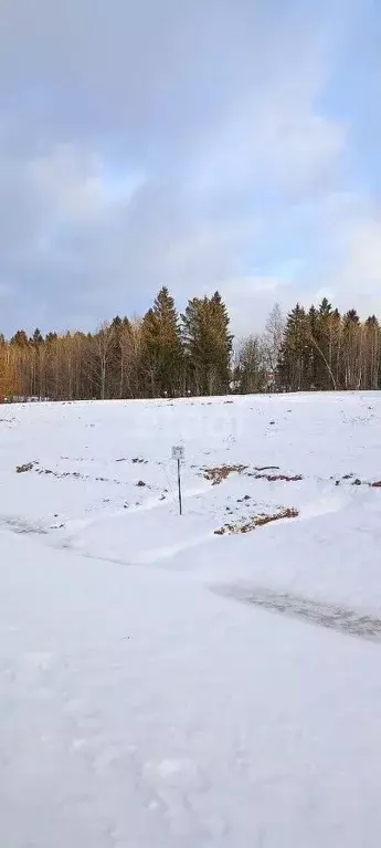 Участок в Пермский край, Добрянский городской округ, д. Залесная  ... - Фото 1