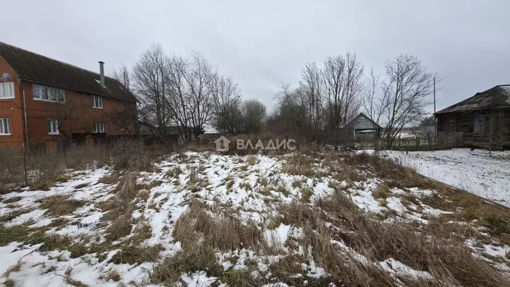 Участок в Московская область, Луховицы муниципальный округ, д. Барсуки ... - Фото 2