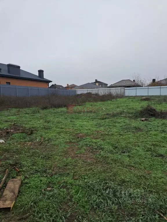 Участок в Ростовская область, Мясниковский район, Краснокрымское ... - Фото 1