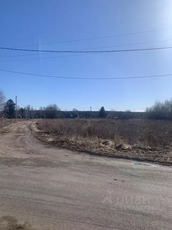 Участок в Владимирская область, Суздальский район, Павловское ... - Фото 1