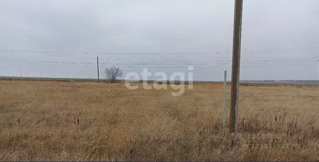 Участок в Ростовская область, Аксайский район, Ольгинское с/пос, ... - Фото 2