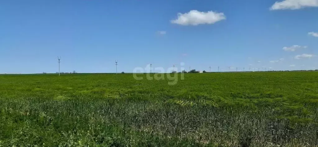 Участок в Крым, Черноморский район, с. Межводное ул. Джарылгачская ... - Фото 0