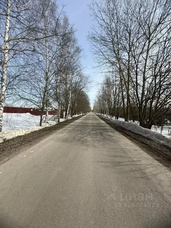 Участок в Московская область, Подольск городской округ, Пузиково кп 24 ... - Фото 2