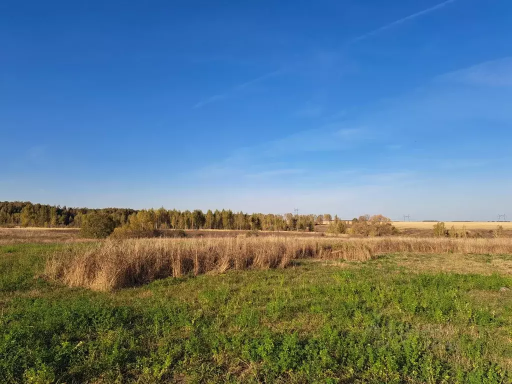 Участок в Московская область, Кашира городской округ, д. Никулино  ... - Фото 1