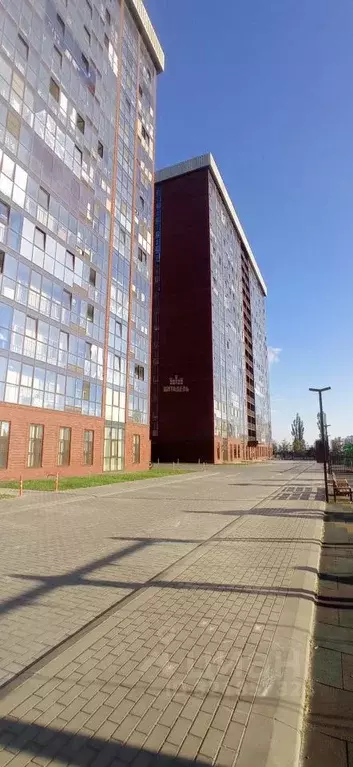 3-к кв. Воронежская область, Воронеж ул. 45-й Стрелковой Дивизии, ... - Фото 1