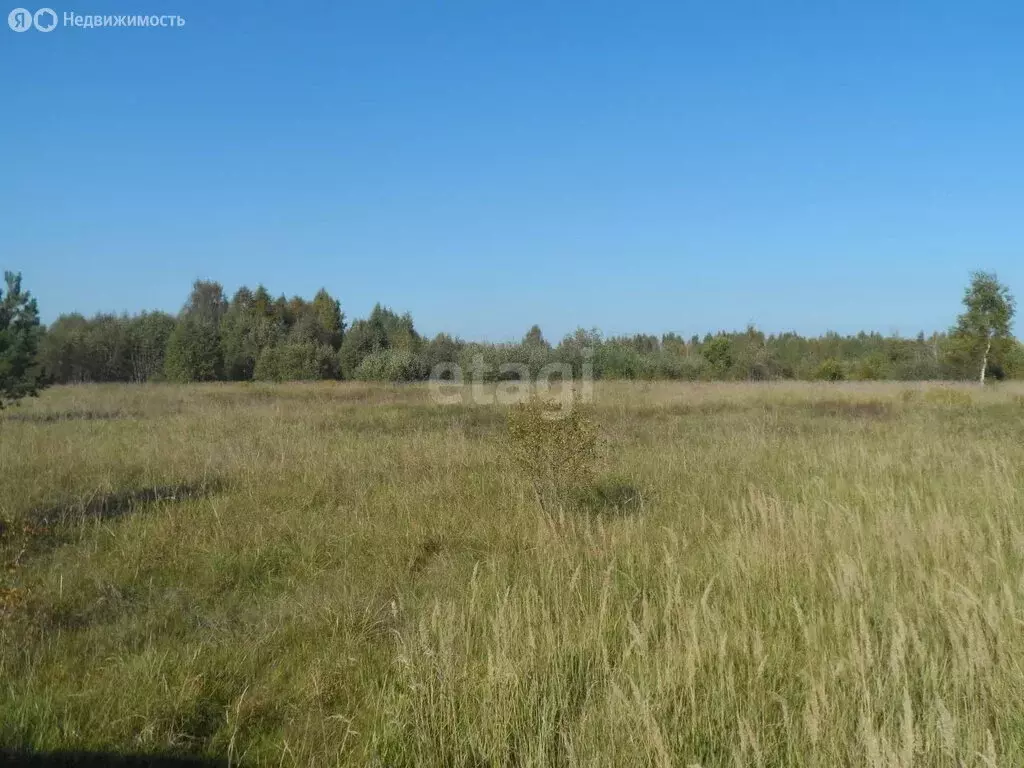 Участок в Островский район, Бережанская волость, деревня Тишино (40 м) - Фото 1