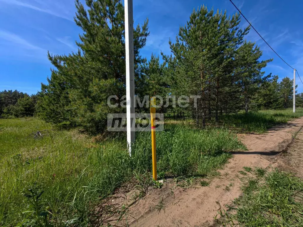 Участок в Ульяновская область, Чердаклинский район, ... - Фото 1