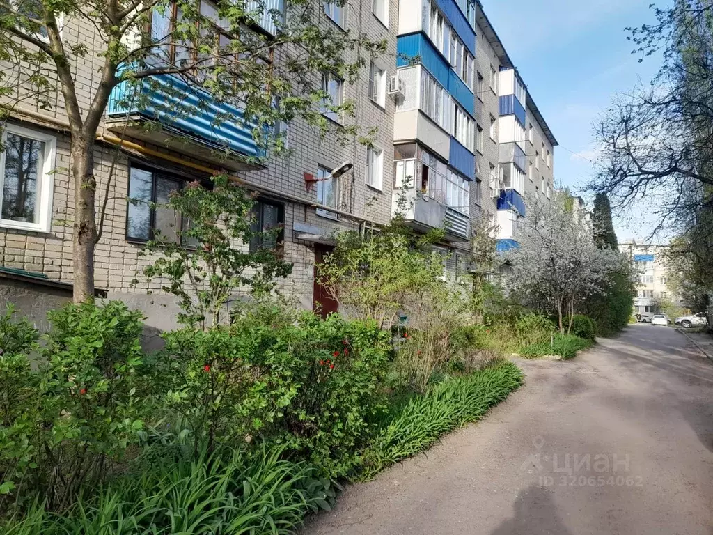 1-к кв. Липецкая область, Елец ул. Свердлова, 151 (34.1 м) - Фото 1