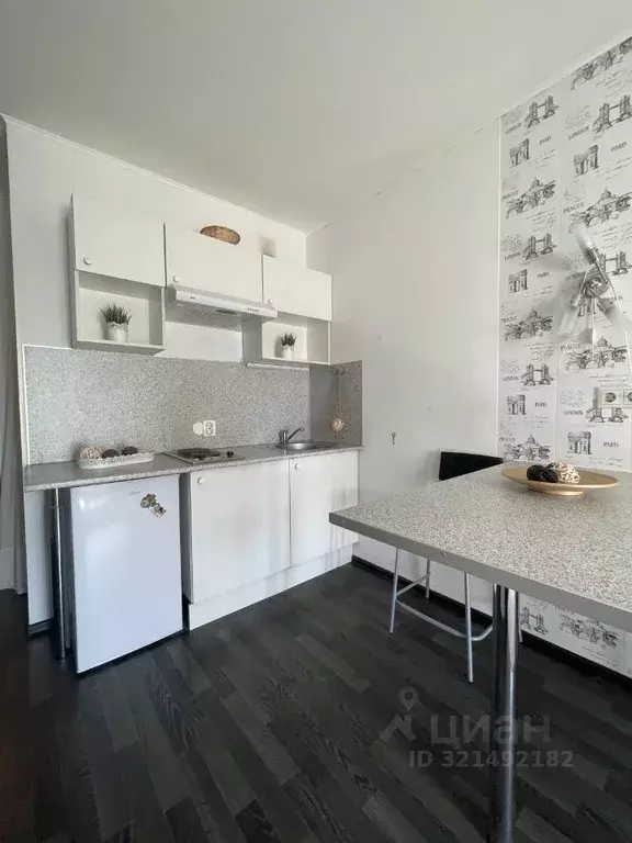 Студия Ленинградская область, Мурино Всеволожский район, просп. ... - Фото 1