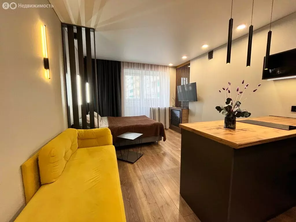 Квартира-студия: Вологда, улица Гагарина, 80Ак2 (22.6 м) - Фото 2