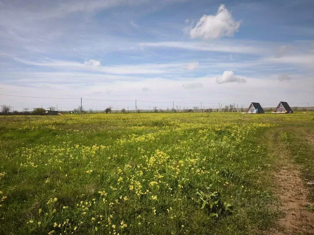 Участок в Крым, Черноморский район, с. Окуневка ул. Крупской (12.4 ... - Фото 1