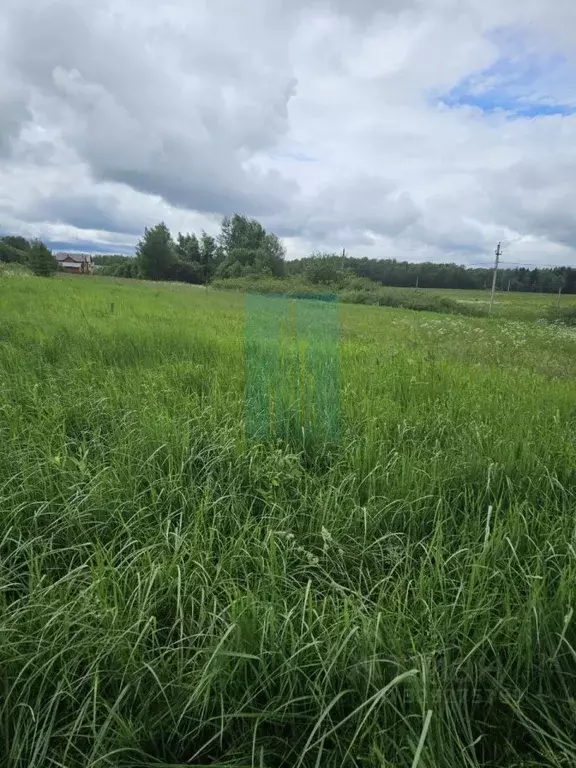 Участок в Московская область, Подольск городской округ, д. Матвеевское ... - Фото 2