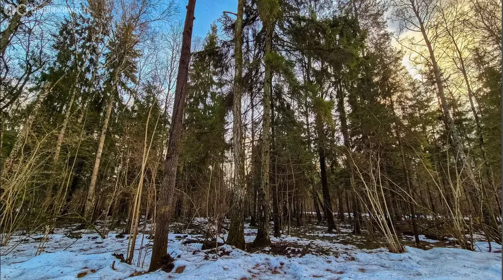 Участок в Московская область, городской округ Солнечногорск, ... - Фото 0