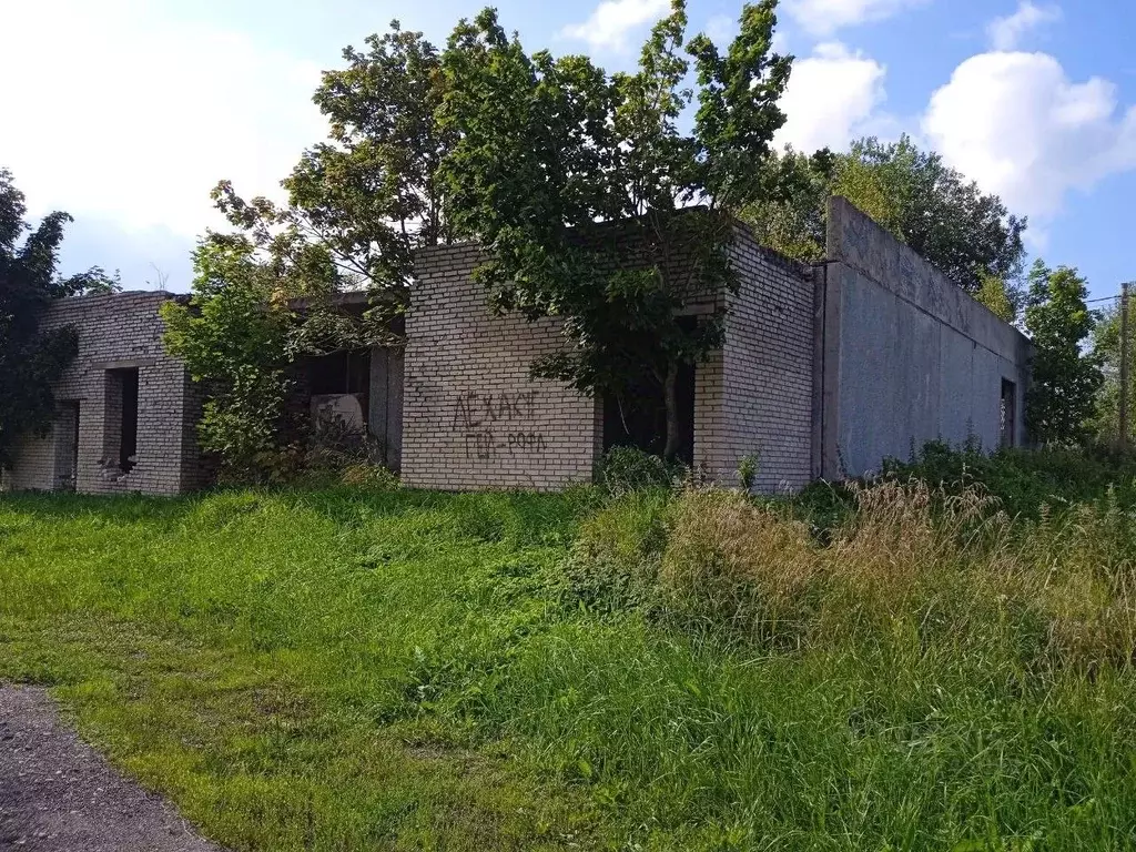 Участок в Ленинградская область, Ломоносовский район, Лопухинское ... - Фото 0