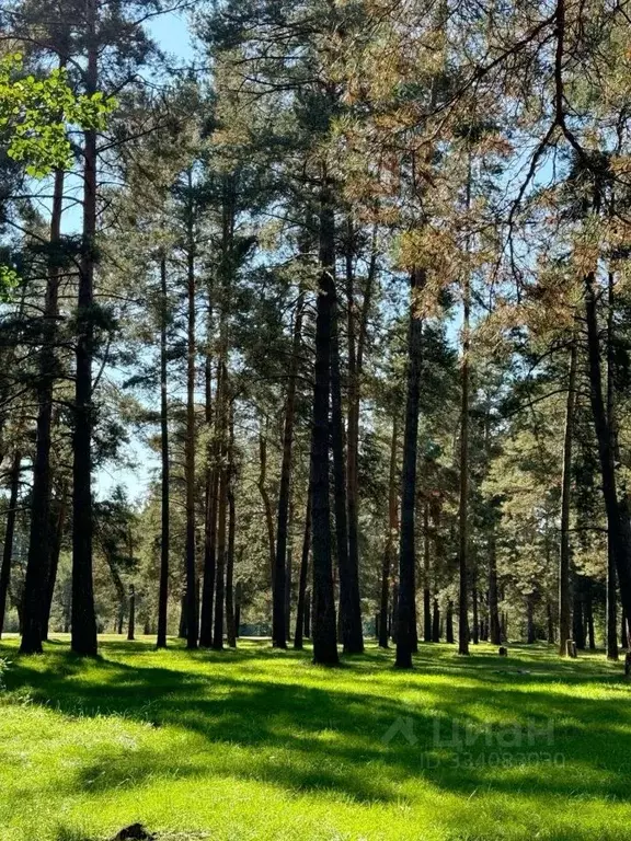 Участок в Московская область, Одинцовский городской округ, д. ... - Фото 2