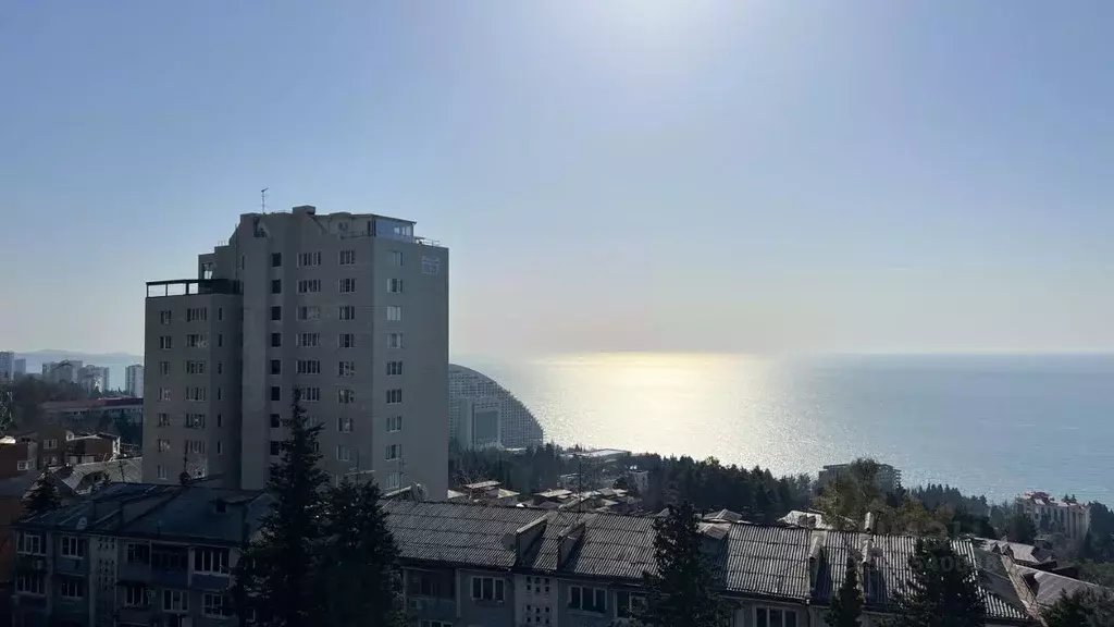 1-к кв. Краснодарский край, Сочи Курортный просп., 96Гк2 (30.0 м) - Фото 1