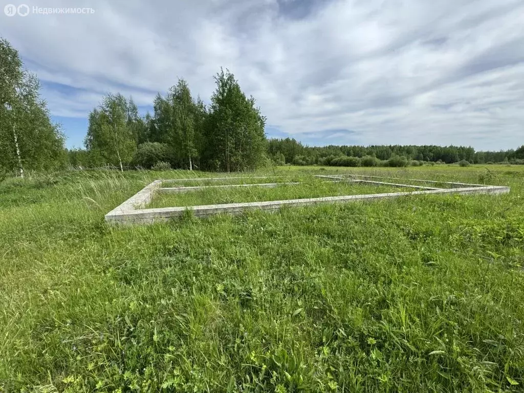 Участок в Шуйский район, Перемиловское сельское поселение, деревня ... - Фото 1