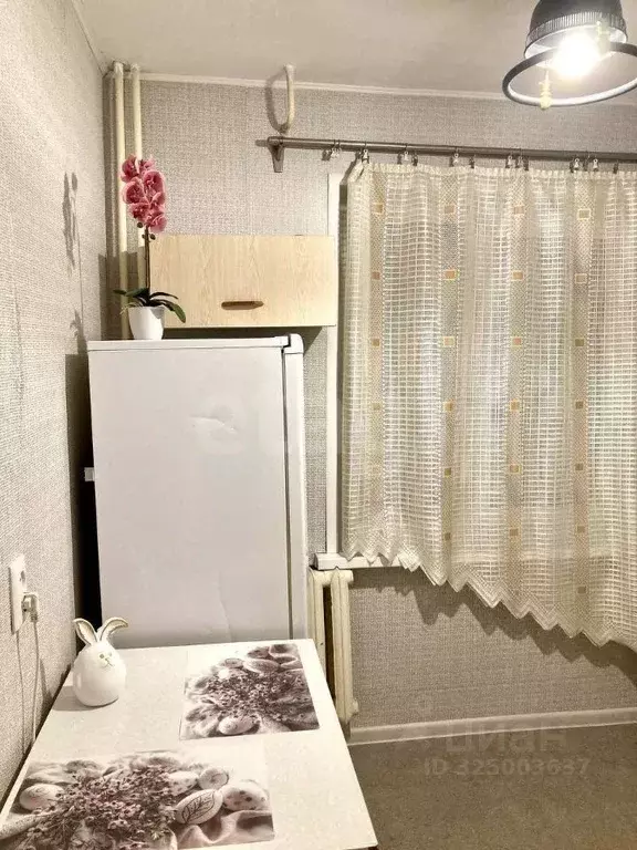 1-к кв. Челябинская область, Челябинск Набережная ул., 12А (31.8 м) - Фото 2