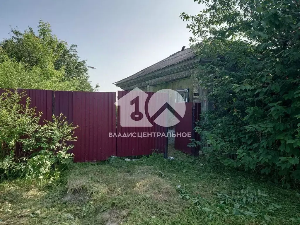 Участок в Новосибирская область, Колывань рп ул. Красноармейская, 47 ... - Фото 0