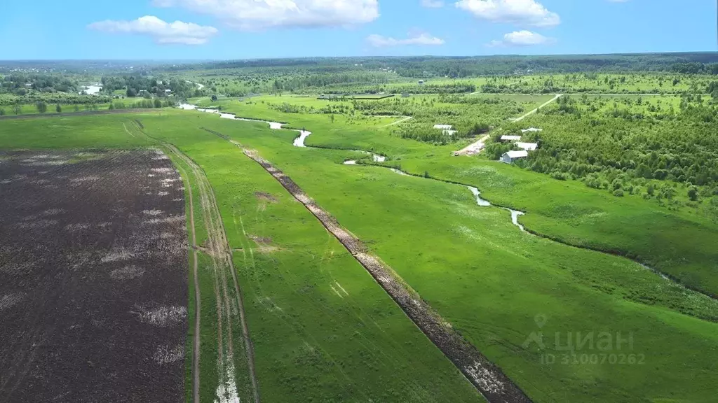 Участок в Тульская область, Заокский район, Демидовское с/пос, ... - Фото 2