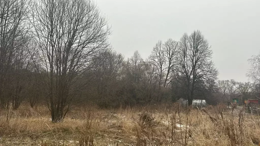 Участок в Московская область, Ступино городской округ, д. Дворяниново  ... - Фото 0