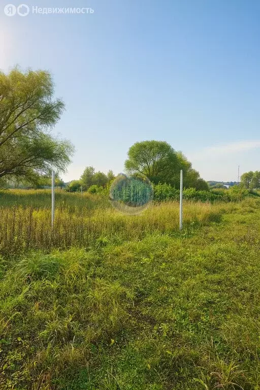 Участок в Московская область, Ленинский городской округ, посёлок ... - Фото 2