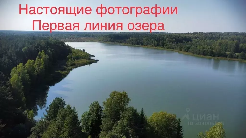 Участок в Новгородская область, Валдайский муниципальный район, ... - Фото 1