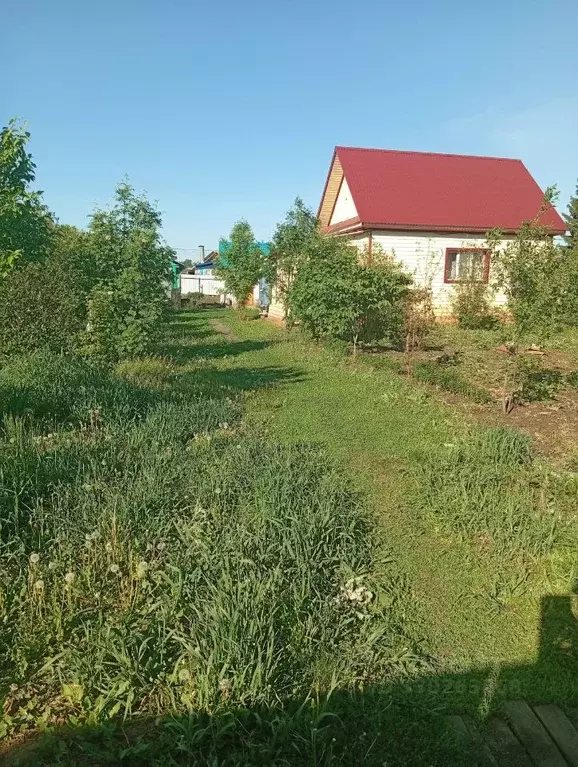 Дом в Башкортостан, Кушнаренковский сельсовет, с. Кушнаренково ул. ... - Фото 1