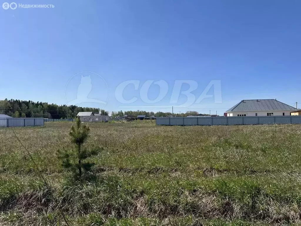 Участок в Тюменский район, деревня Решетникова (8 м) - Фото 1