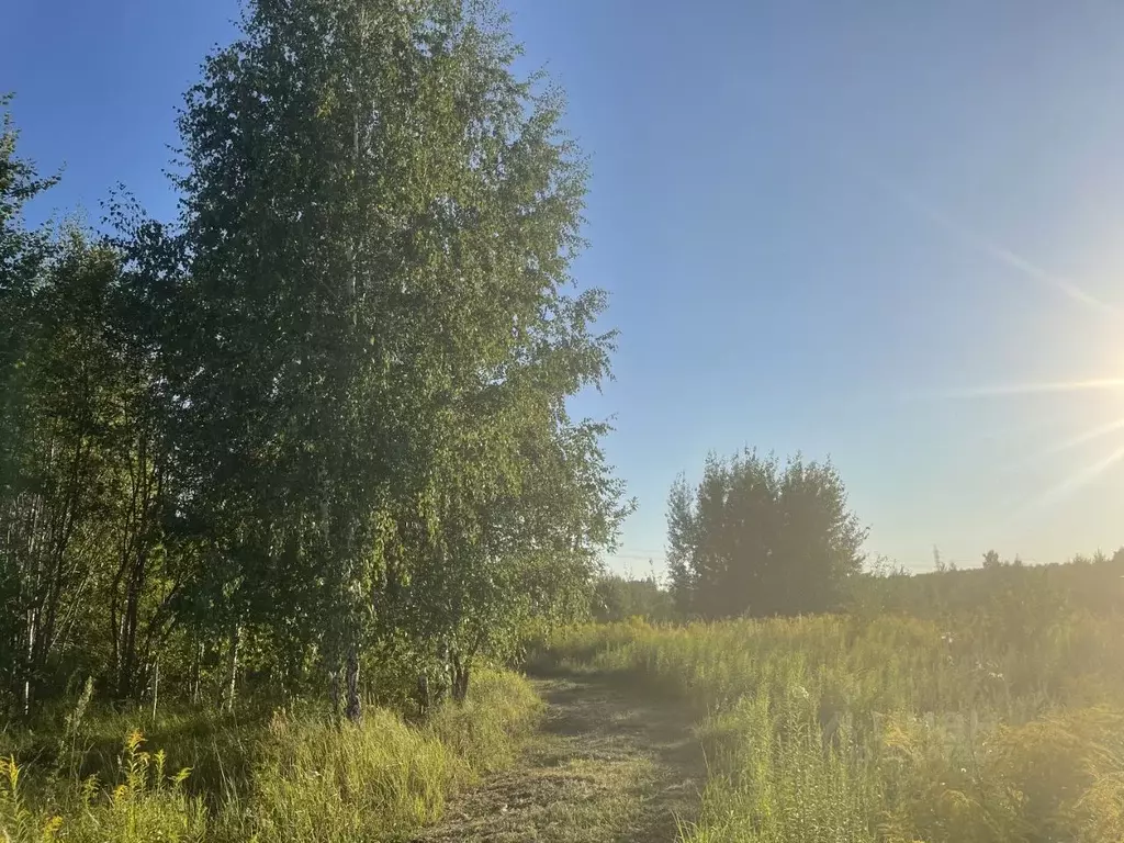 Участок в Нижегородская область, Нижний Новгород с. Большая Ельня, ул. ... - Фото 1